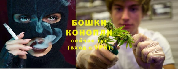 сатива Киреевск