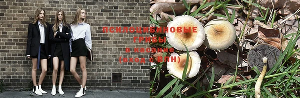 сатива Киреевск