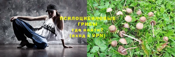 сатива Киреевск