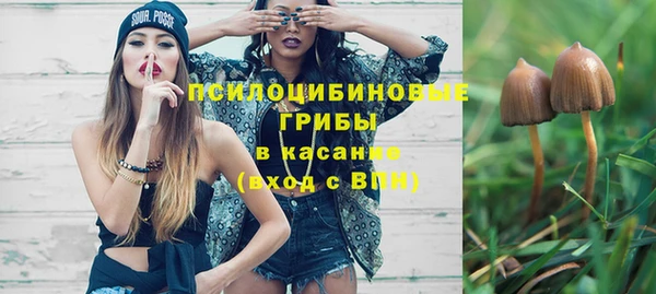 сатива Киреевск