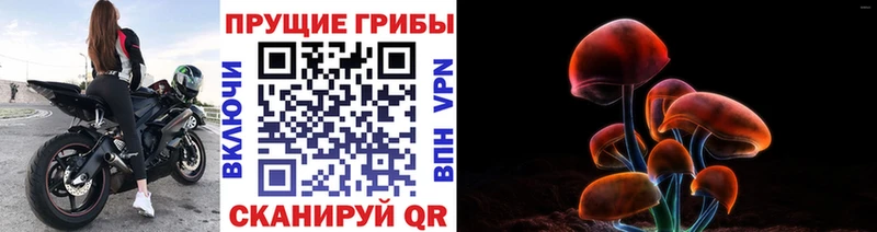 Купить закладки  Великие Луки  Галлюциногенные грибы мицелий 